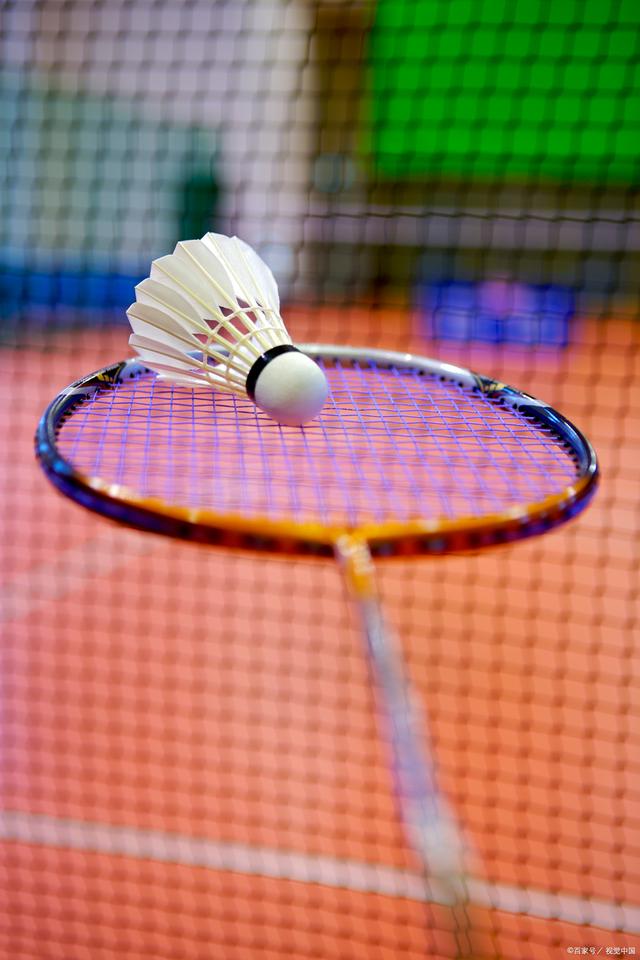 地位可谓 地位可谓